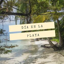 Dia en la playa