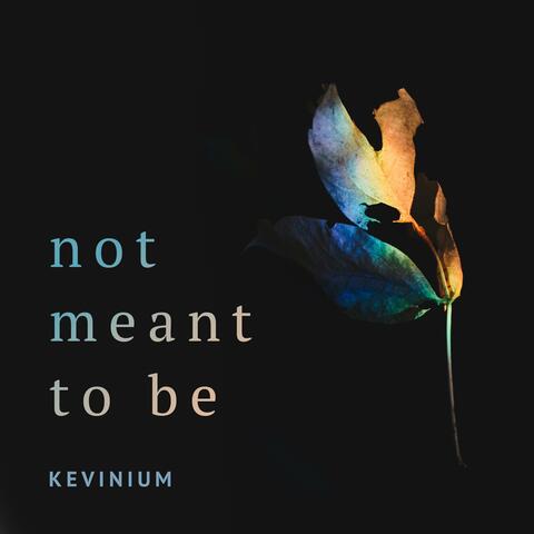 Not Meant to Be