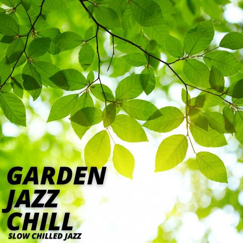Slow Chilled Jazz