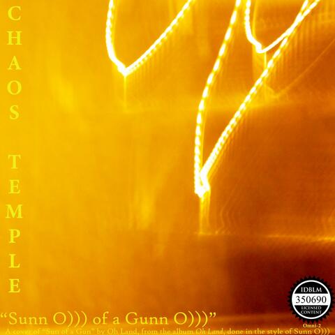 Sunn O))) of a Gunn O)))