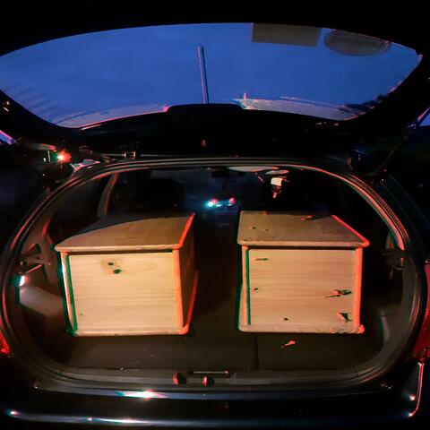 Songs to Make Your Mom Worried