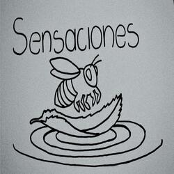 Sensaciones