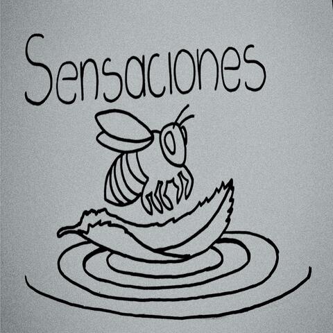 Sensaciones