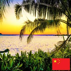 有海洋声音的丛林