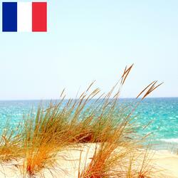 Son du Vent qui Souffle sur la Plage