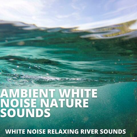 White Noise Relaxing River Sounds
