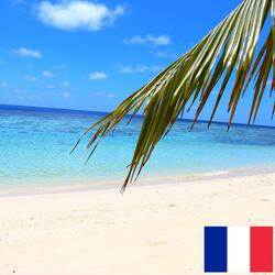 Vagues Apaisantes sur une Plage Tropicale