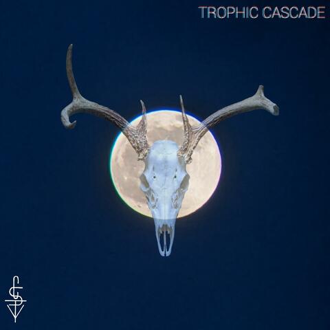 Trophic Cascade