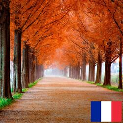 Vent d'Automne Soufflant dans les Feuilles