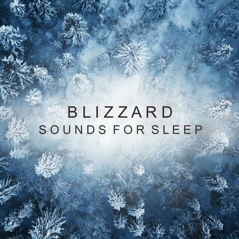 Blizzard Sounds For Sleeping