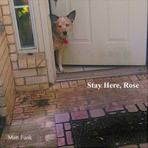 Stay Here, Rose