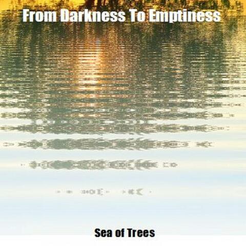 Sea of Trees