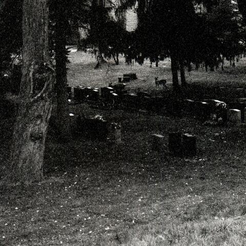 Strangely Botched Endings