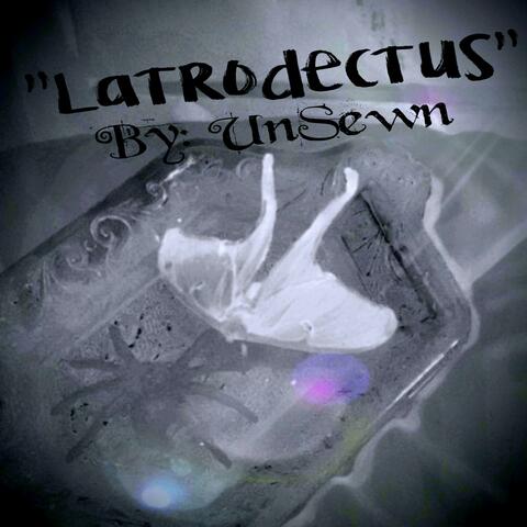Latrodectus