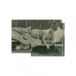 Samambaia ou O dia que eu me perdi