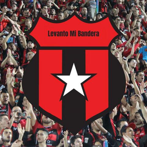 Levanto Mi Bandera