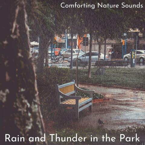 Comforting Nature Sounds