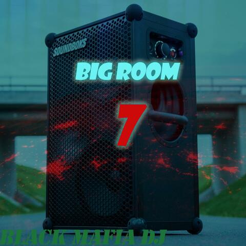 Big Room 7