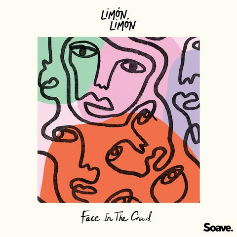 Face In The Crowd