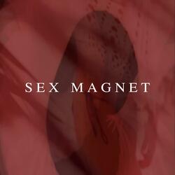 Sex Magnet