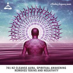741 Hz Cleanse Aura Spiritual Awakening Removes Toxins and Negativity, Pt. 3