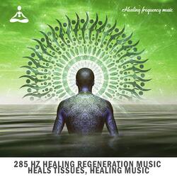 285 Hz Healing Regeneration Music Heals Tissues Healing Music, Pt. 5