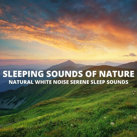 Natural White Noise Serene Sleep Sounds