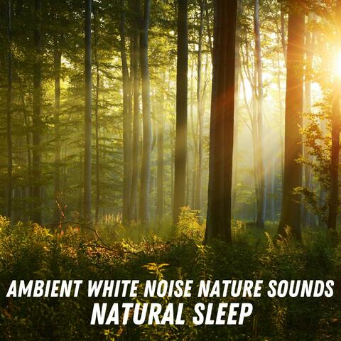 Natural Sleep