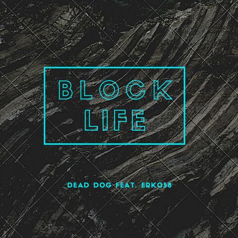 Blocklife (feat. Erko580)