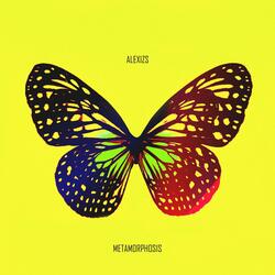 metamorphosis