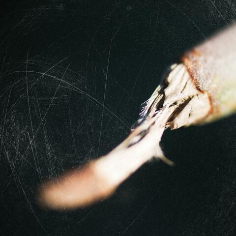 Faded Things
