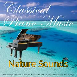 Canon in D Major