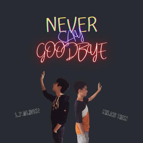 Never Say Goodbye