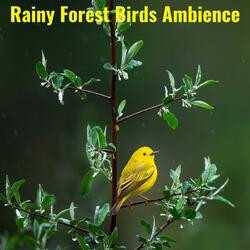 Hummingbirds and Bluebirds in a Rainy Forest