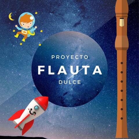 Proyecto Flauta