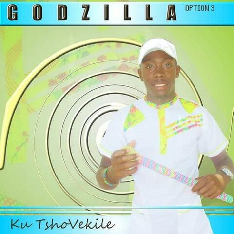 Ku Tshovekile