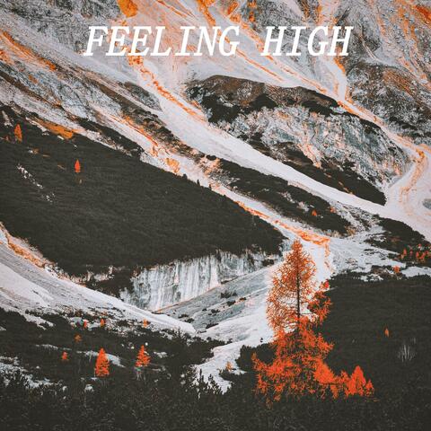 Feeling High (feat. ROMES)