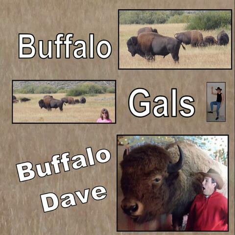 Buffalo Gals