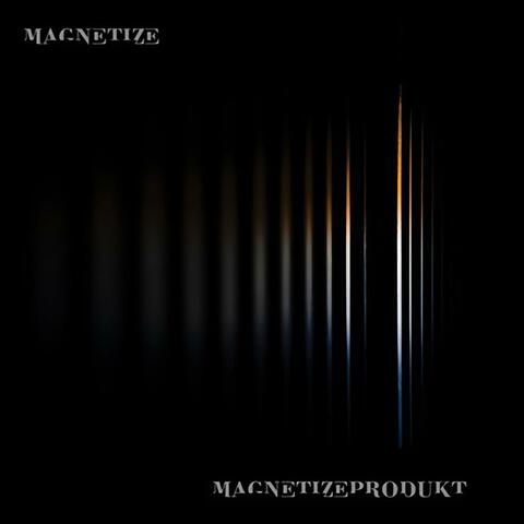 Magnetizeprodukt