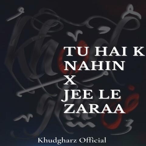 Tu Hai K Nahin / Jee Le Zaraa