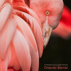 amanece bajo el agua