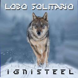 Lobo Solitario