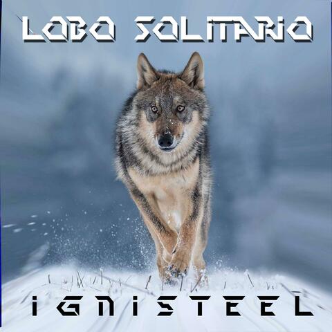 Lobo Solitario
