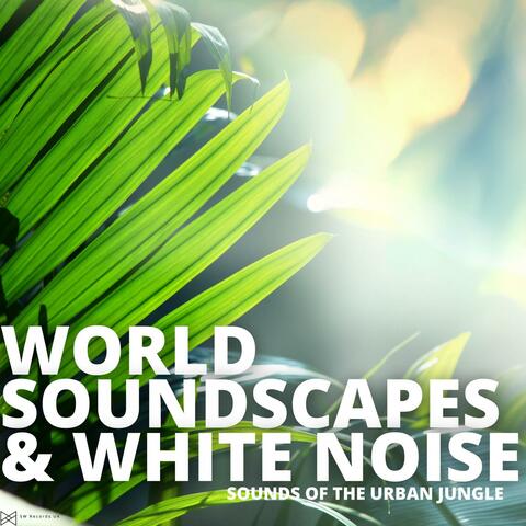 Sounds Of The Urban Jungle