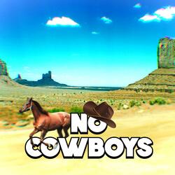 no cowboys (with b1n4ry)