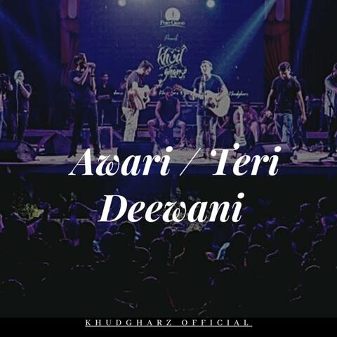 Awari / Teri Deewani