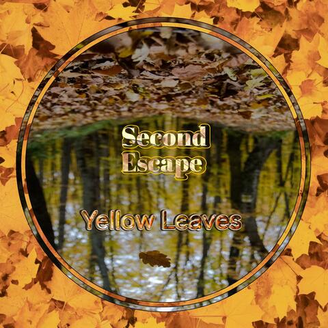 Yellow Leaves