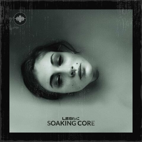 Soaking Core