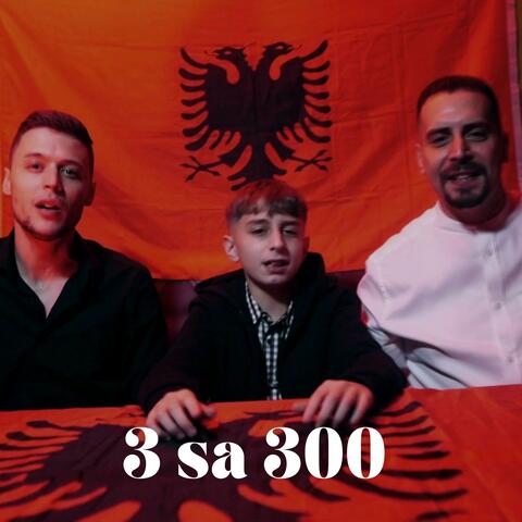 3 Sa 300