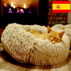 Ronroneo de un Gato cerca de una Chimenea